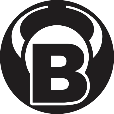 Bull's Germany Dart Flights