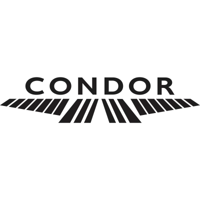 Condor Flight System