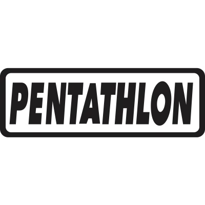 Pentathlon Dart Flights