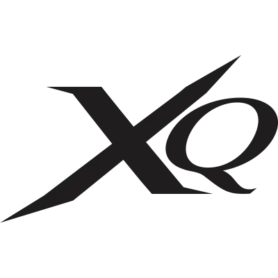 XQ Max Dart Flights