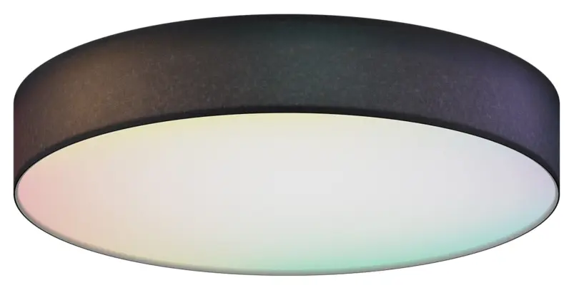 Smart Ceiling Light