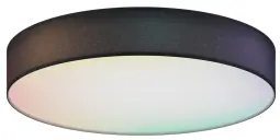 Smart Plafondlamp afbeelding