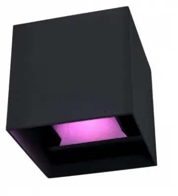 Smart Wall Light